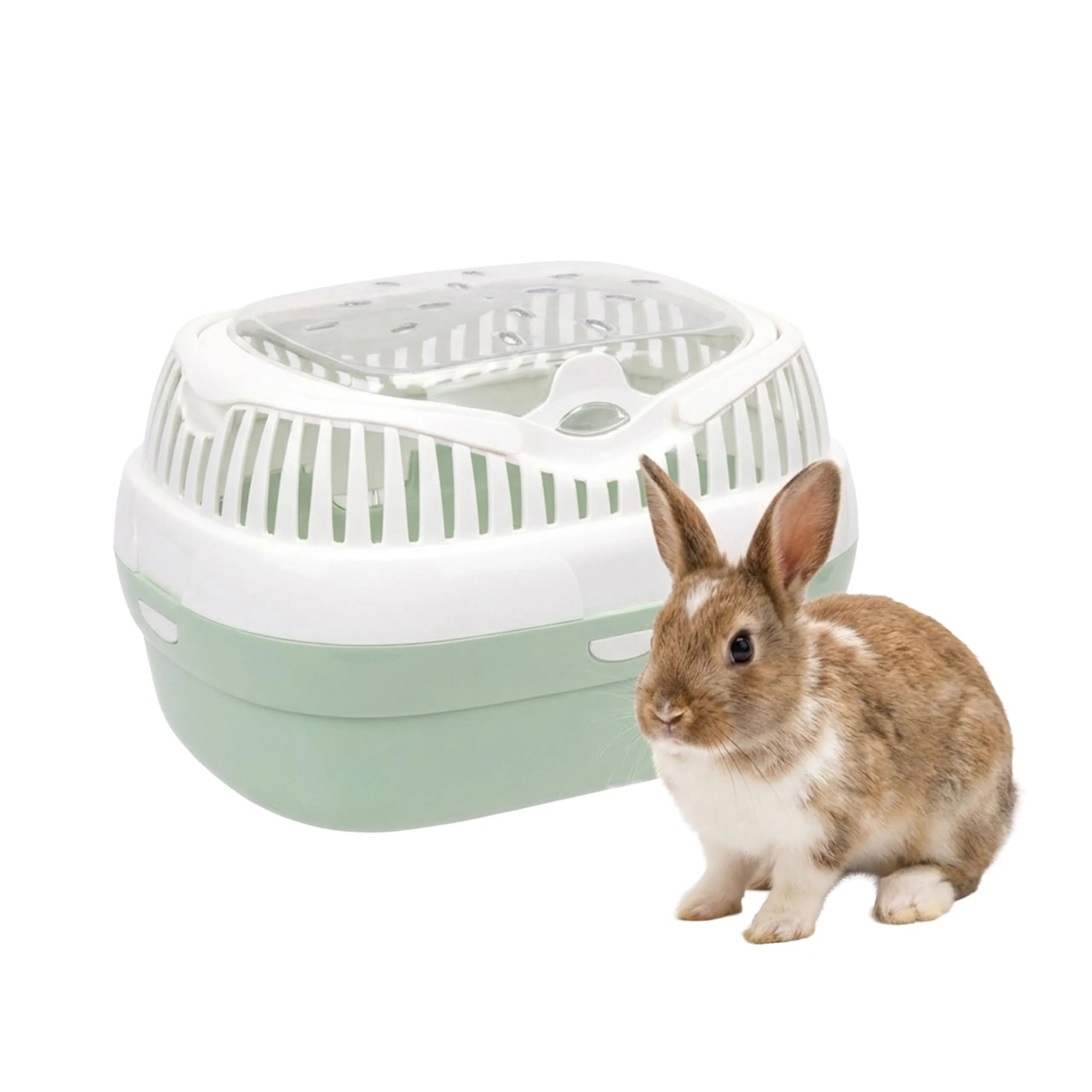 Ferplast Trasportino per Conigli, Porcellini d'india e ratti ALADINO LARGE, Plastica con Coperchio Trasparente, Fessure di ventilazione e Maniglia