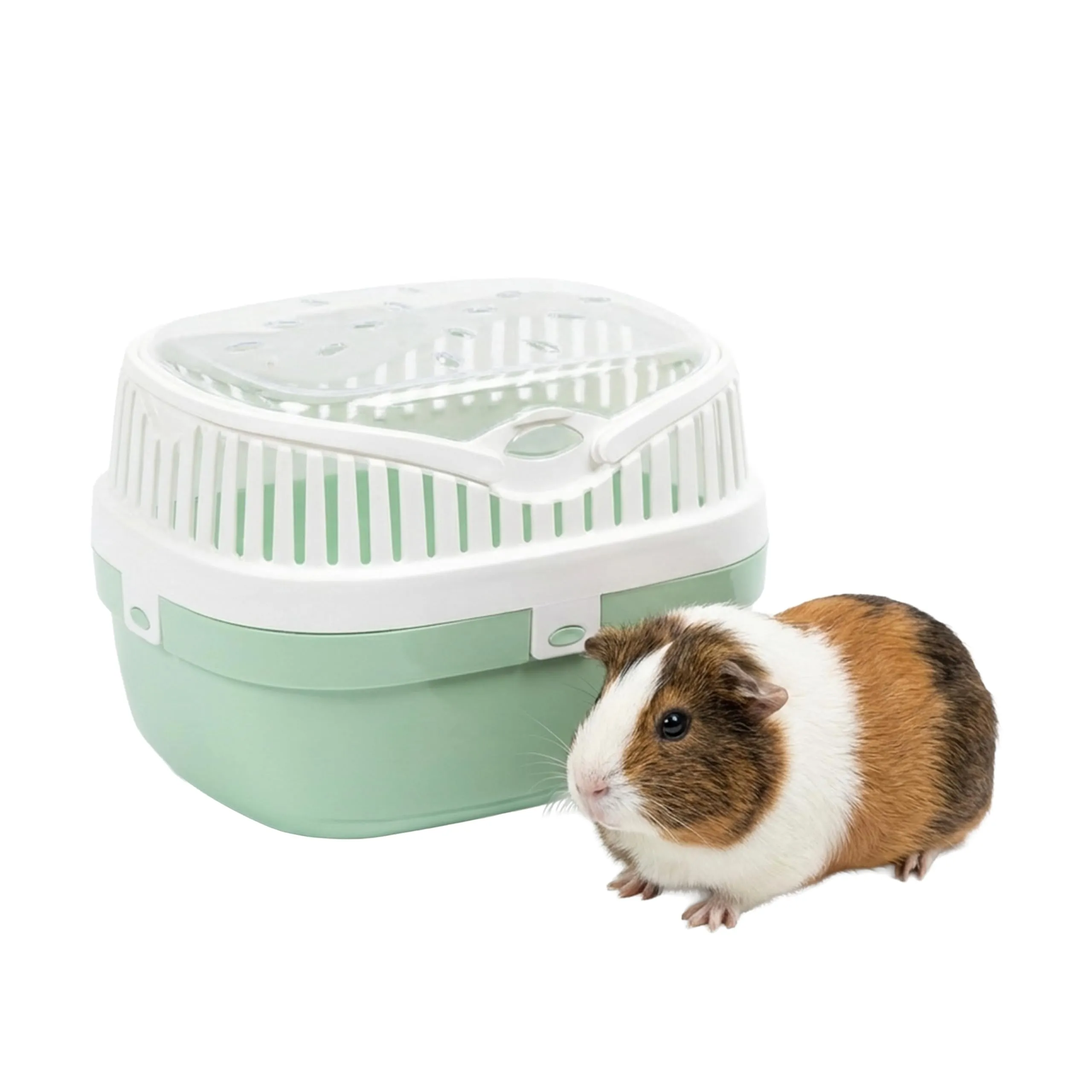 Ferplast Trasportino per porcellini d'india e altri roditori ALADINO MEDIUM Fessure di ventilazione, Comoda maniglia, Chiusura sicura, 30 x 23 x h 21 cm Blu