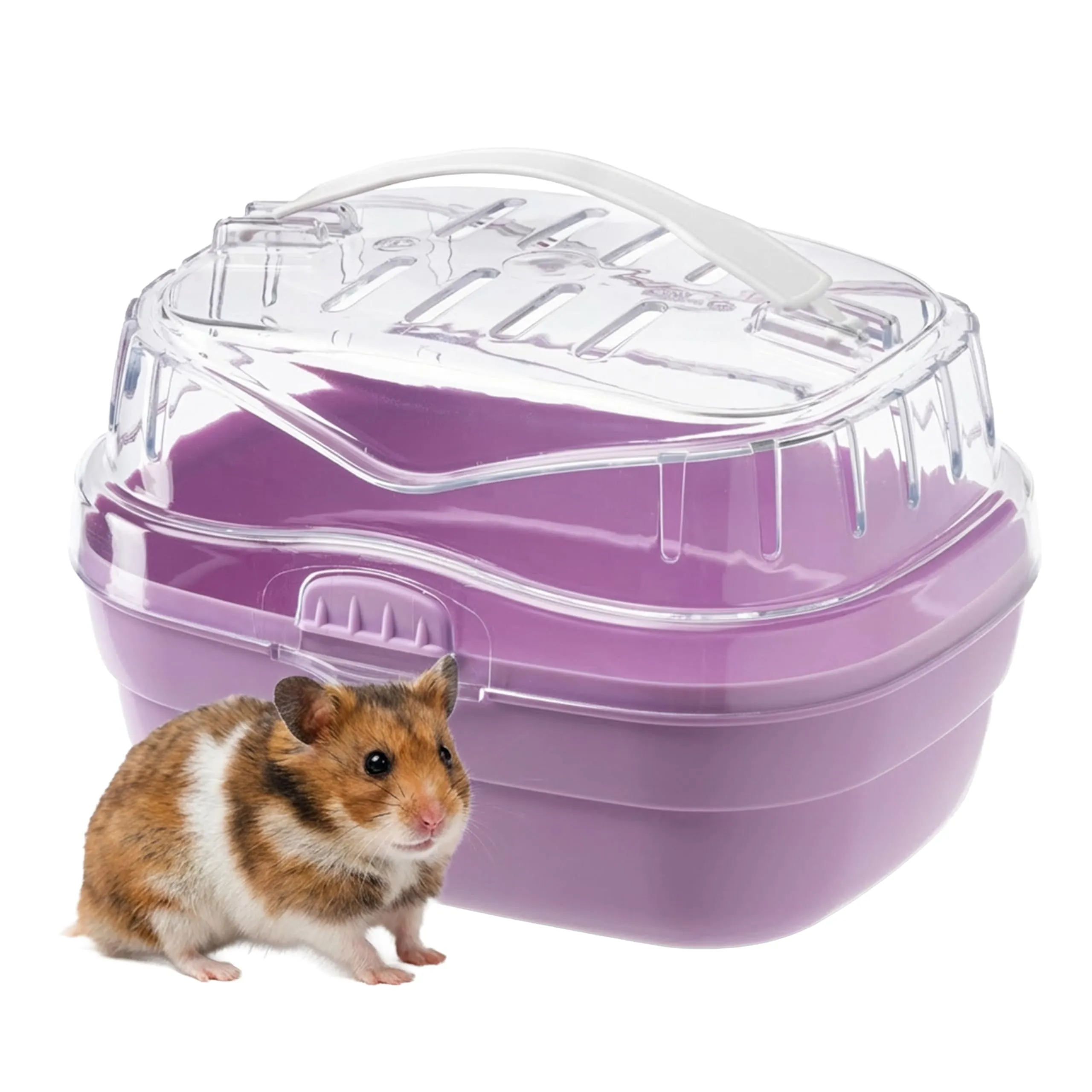 Ferplast Trasportino per criceti e altri piccoli roditori ALADINO SMALL Plastica resistente, Fessure di ventilazione, Maniglia, Chiusura sicura, 20 x 16 x h 13,5 cm Fucsia