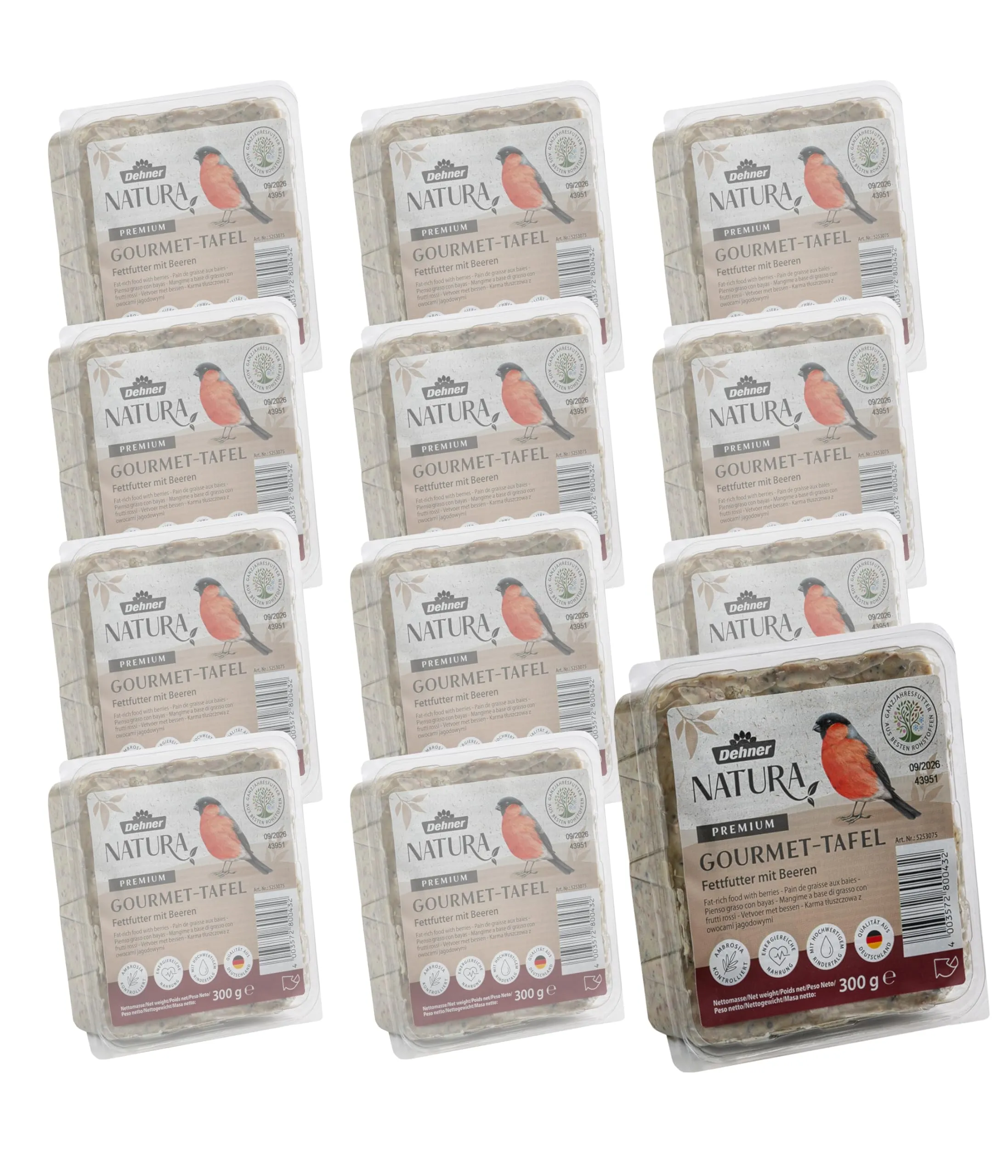 Dehner Natura Premium Tavolette di mangime per uccelli selvatici con bacche, 12 x 300 g (3,6 kg)