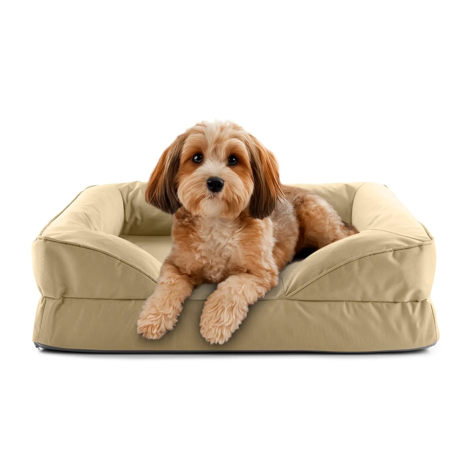 Lumaland Cuccia ortopedica per cani per esterni e interni, divano ergonomico 70 x 60 cm, ideale per cani di piccola taglia, fondo antiscivolo, imbottitura e rivestimento lavabile, cestino per cani