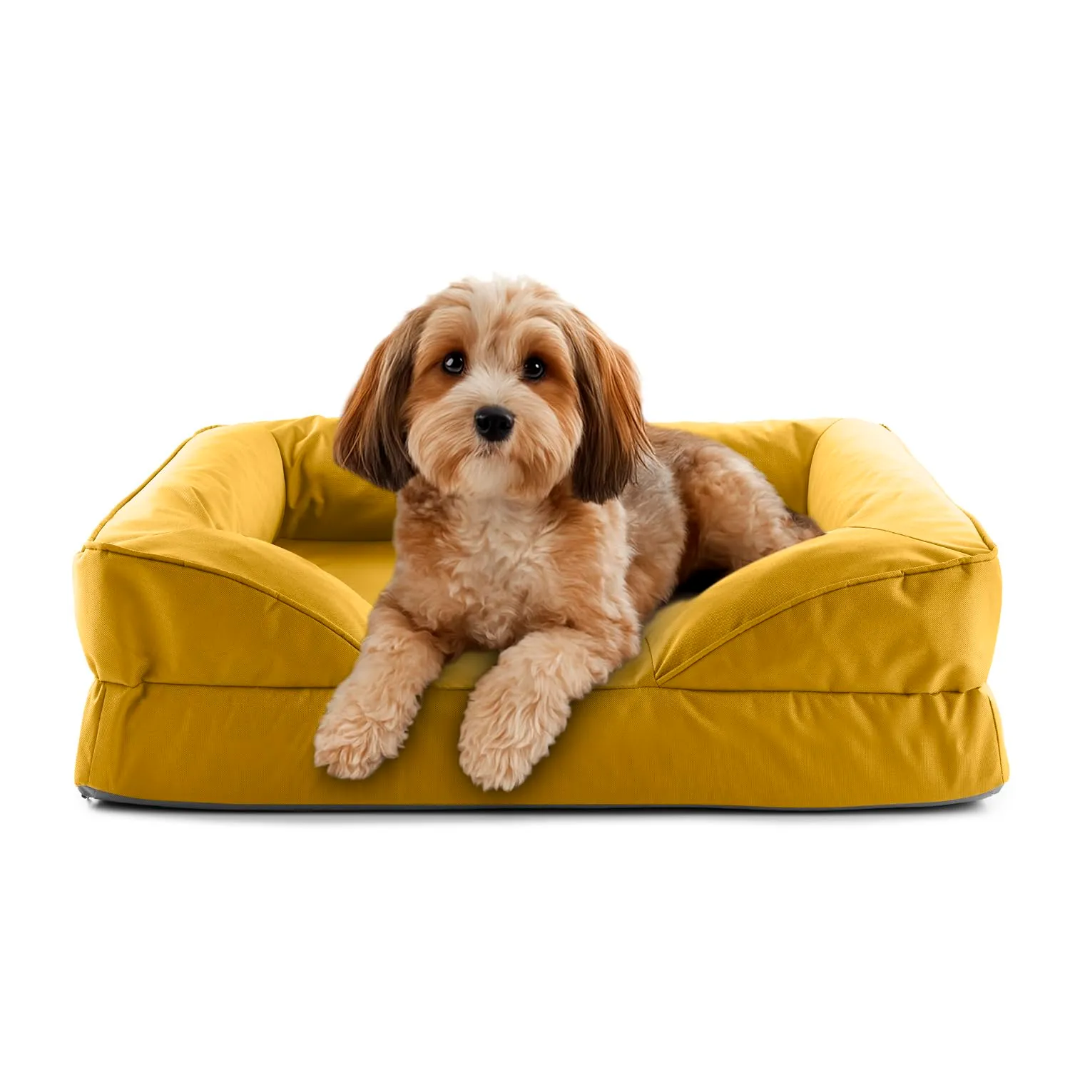 Lumaland Cuccia ortopedica per cani per esterni e interni, divano ergonomico 70 x 60 cm, ideale per cani di piccola taglia, fondo antiscivolo, imbottitura e rivestimento lavabile, cestino per cani