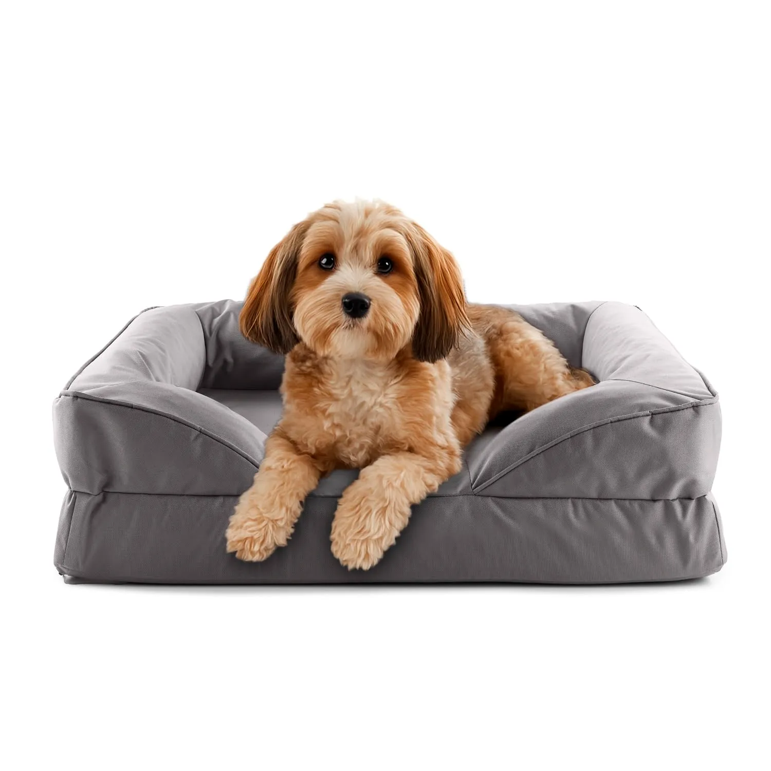 Lumaland Cuccia ortopedica per cani per esterni e interni, divano ergonomico 70 x 60 cm, ideale per cani di piccola taglia, fondo antiscivolo, imbottitura e rivestimento lavabile, cestino per cani