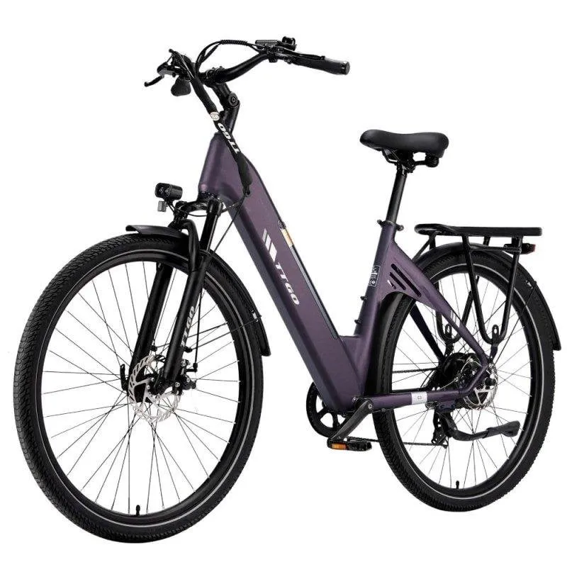 Bicicletta elettrica TTGO C3 SE 250 W 36 V 18 Ah 28 pollici