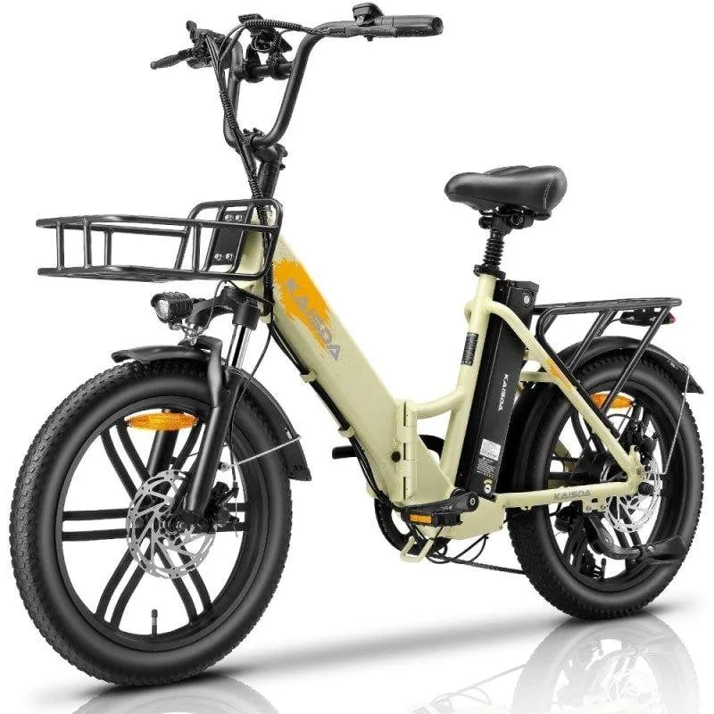Bicicletta elettrica pieghevole Kaisda K201 250 W, 36 V, pneumatici 20 x 3,0