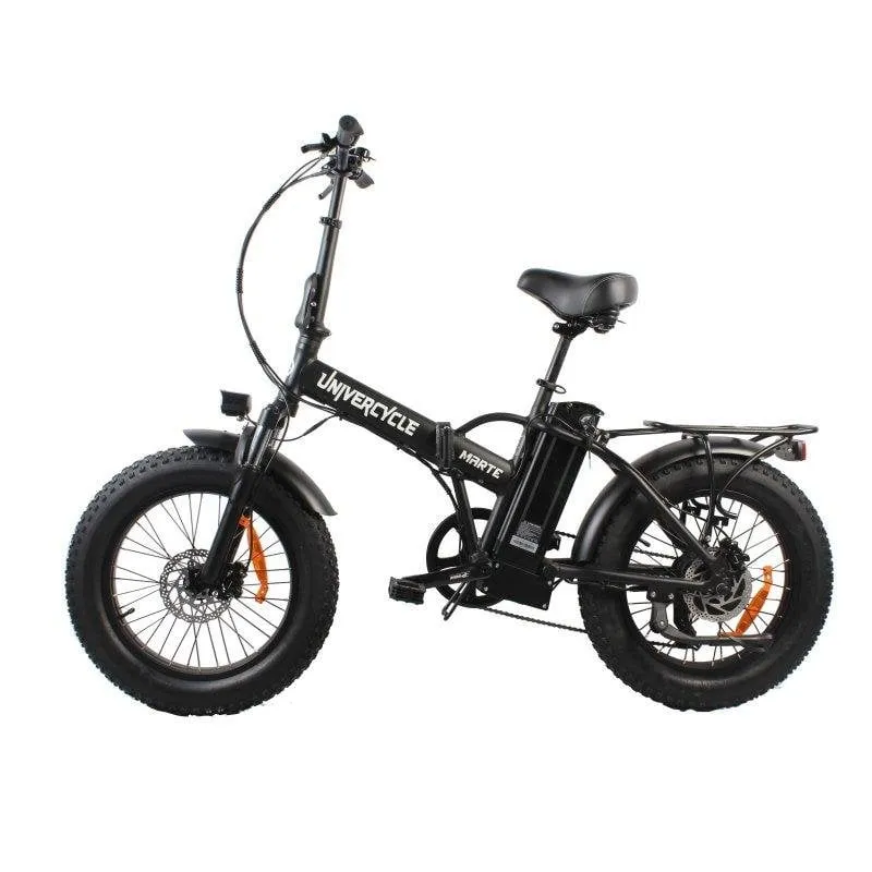 Bicicletta Elettrica Univercycle B3 48V 13Ah Shimano 7 velocità