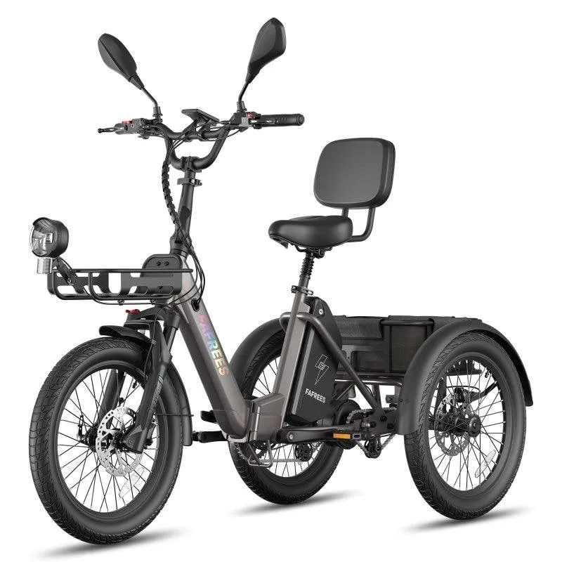 Triciclo Elettrico FAFREES F20 Mate II