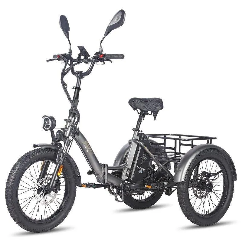 Triciclo elettrico Fafrees F20 Mate 500 W 48 V 21 Ah