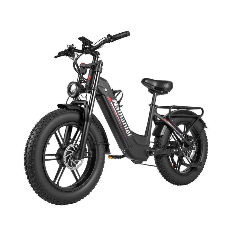 Bicicletta elettrica Nathaniel SYR08 Doppio Motore 48V 20Ah 20in Freni Idraulici
